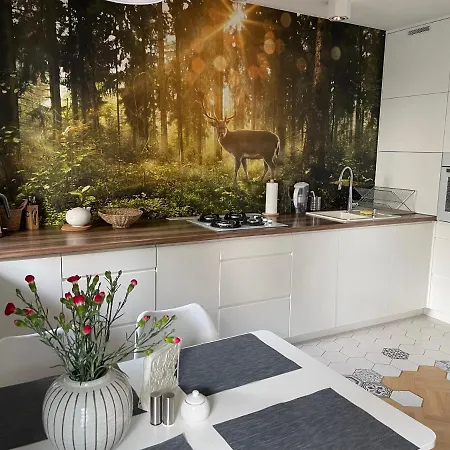 Apartament Z Tarasem Przy Parku Varsovia Exterior foto
