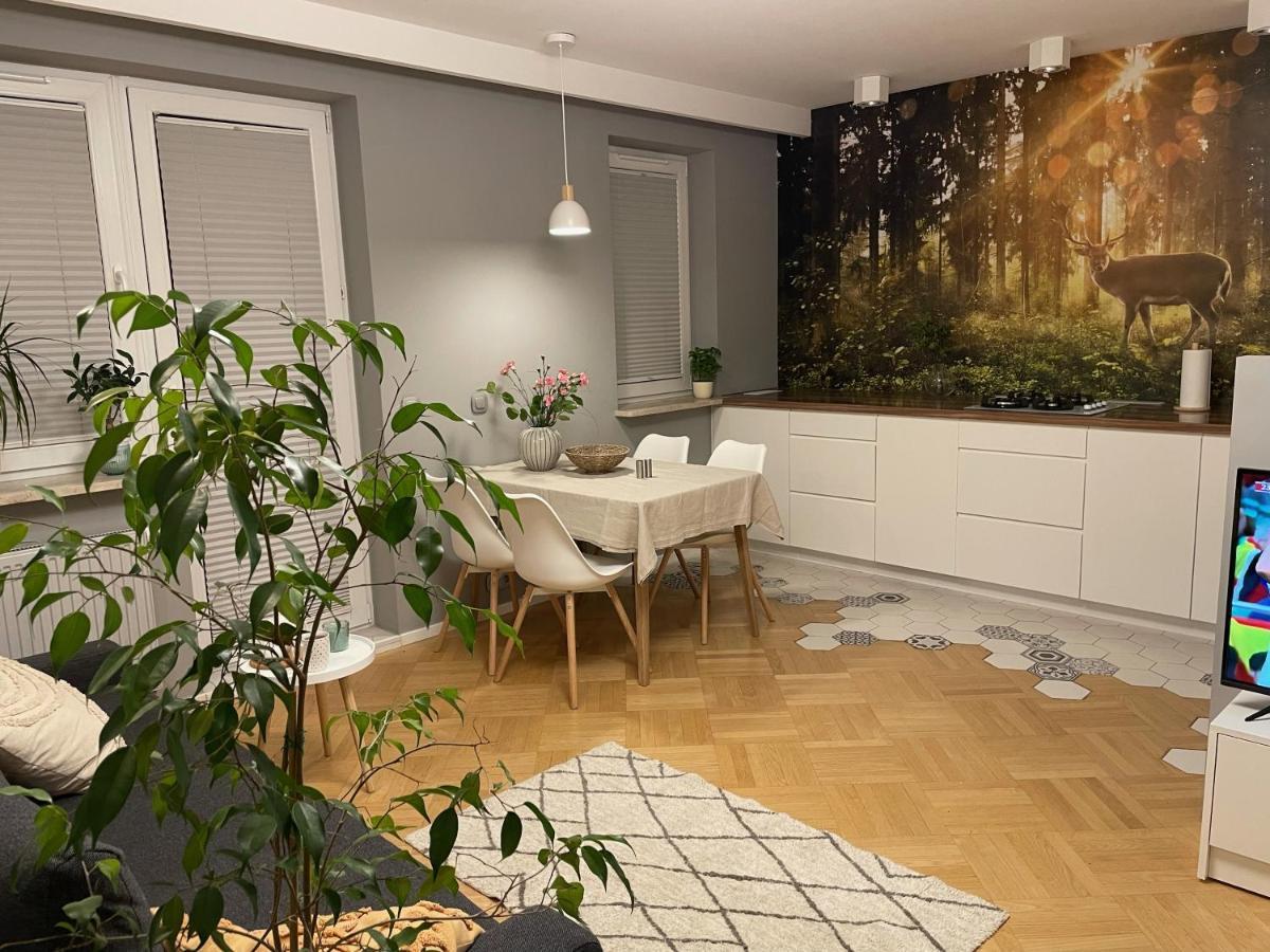 Z Tarasem Przy Parku Apartament *